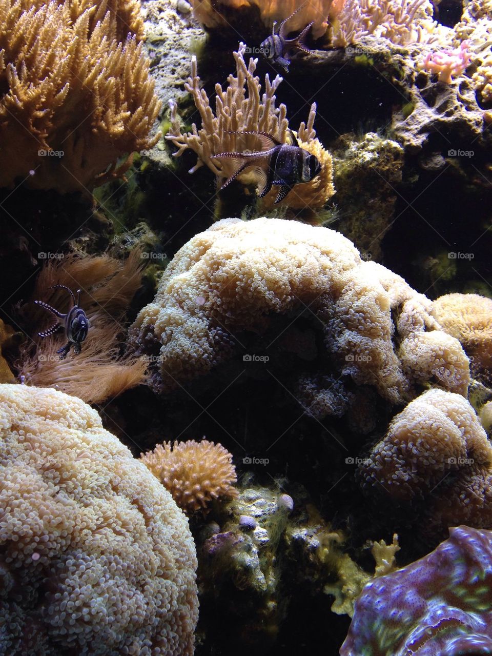  Aquarium at the Denver Zoo 2