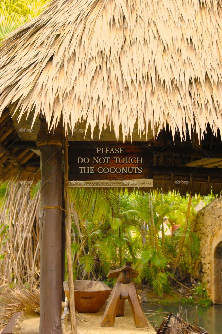 Warning. don't touch the coconuts