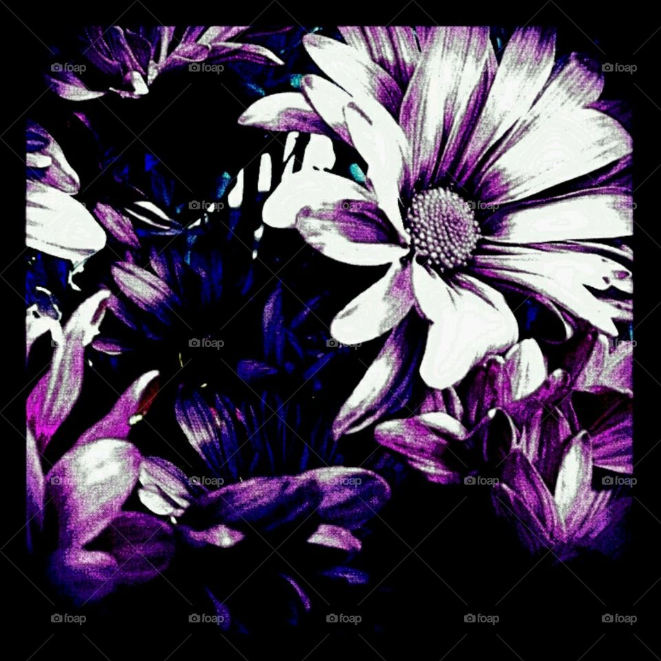 bring the spring. lighting effects