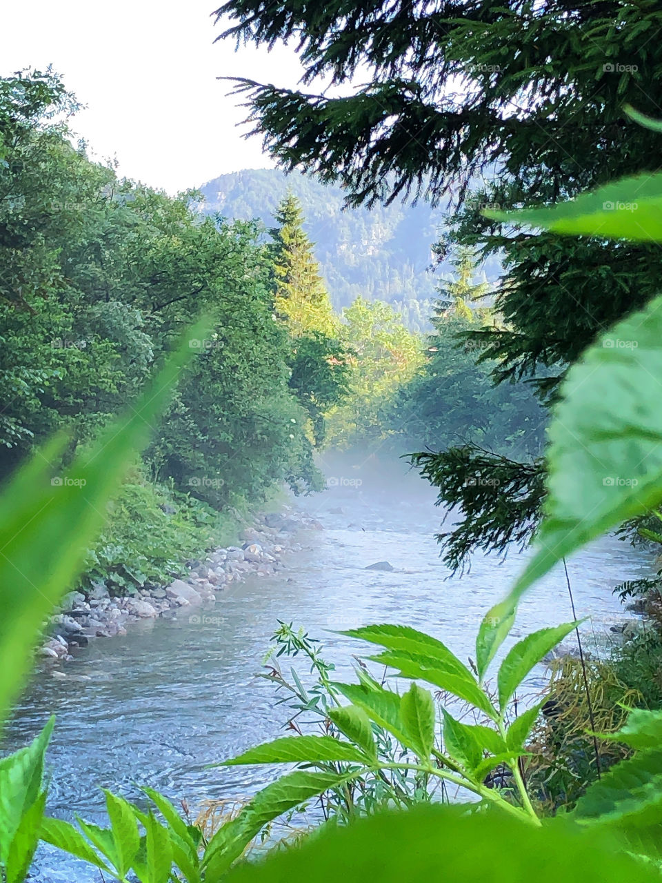 River landscape 