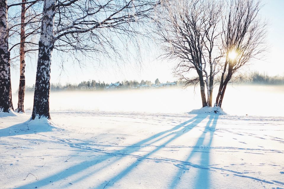 Winter, Snow, Cold, Frost, Frozen