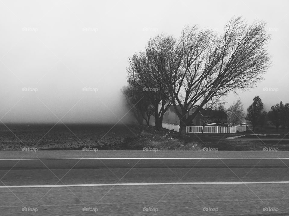 Scenic view of nature