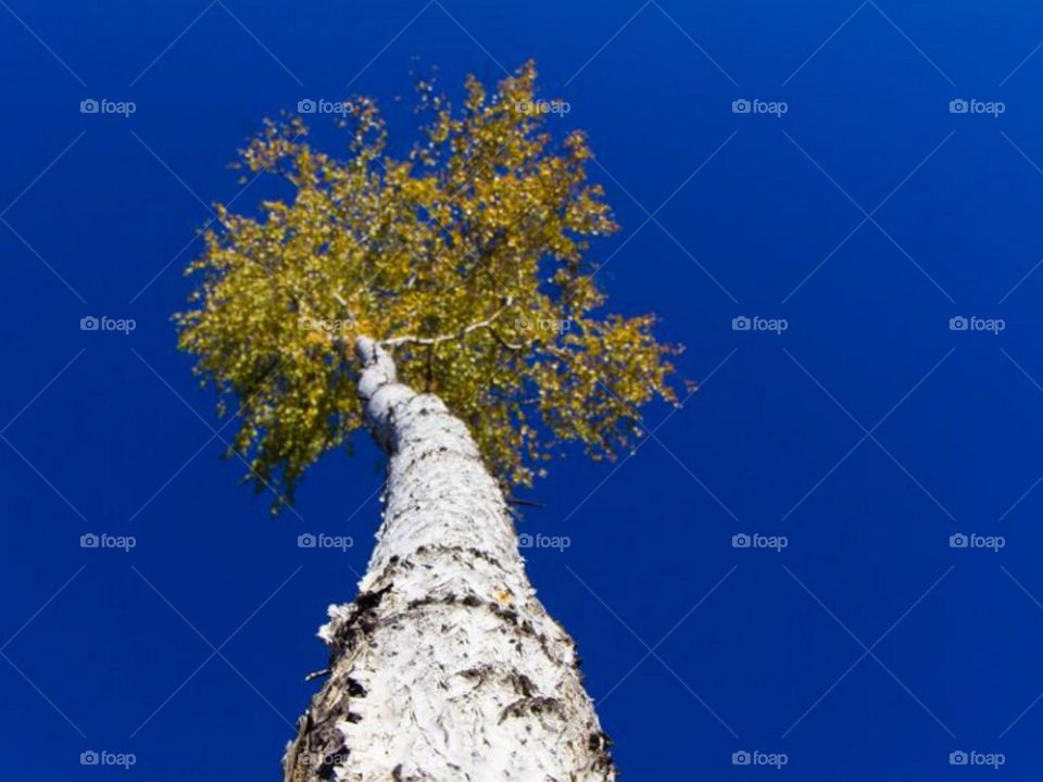 The beauty of nature