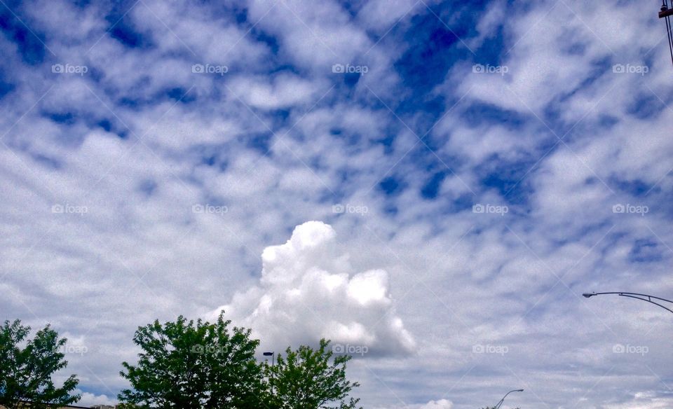 Afternoon cloudscape . Afternoon in warm blue sky 