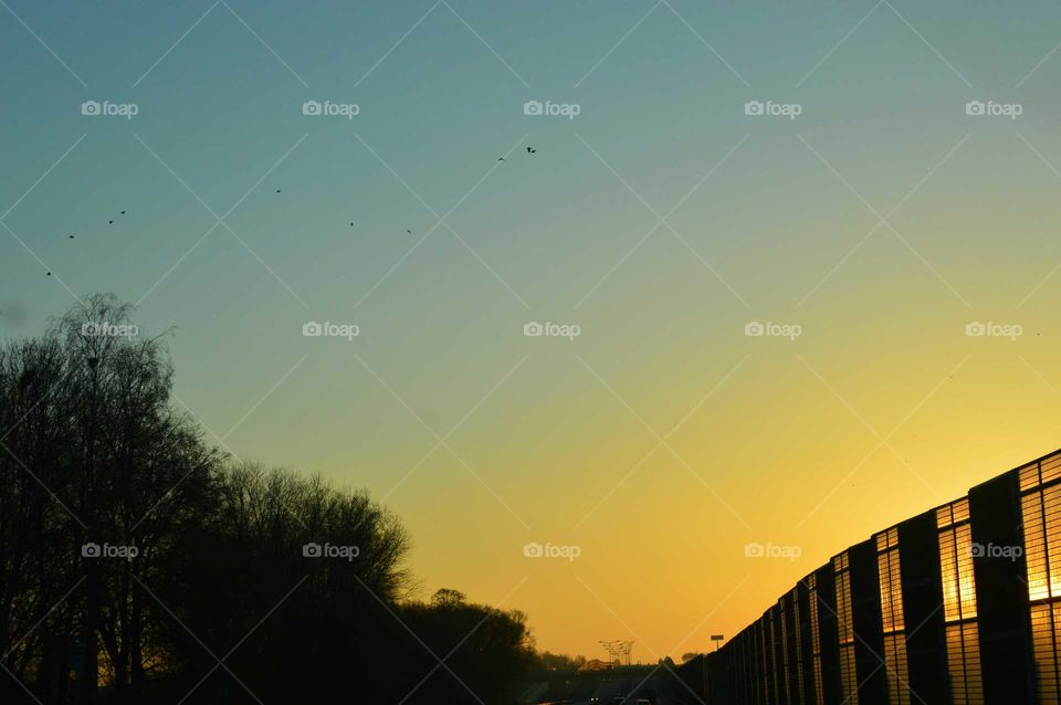 Golden hour during sunrise  on the expressway in Poland