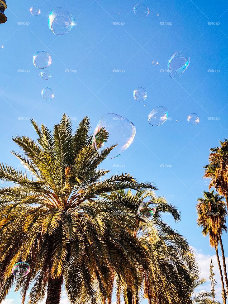 Summer soap bubbles in Barcelona, on the background of city palms