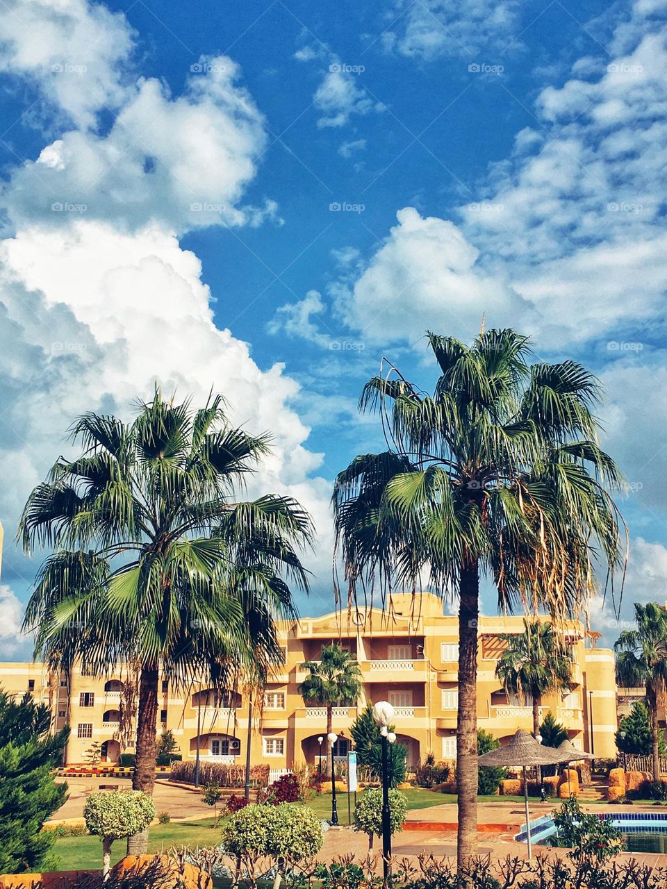 Tree on the winter part2