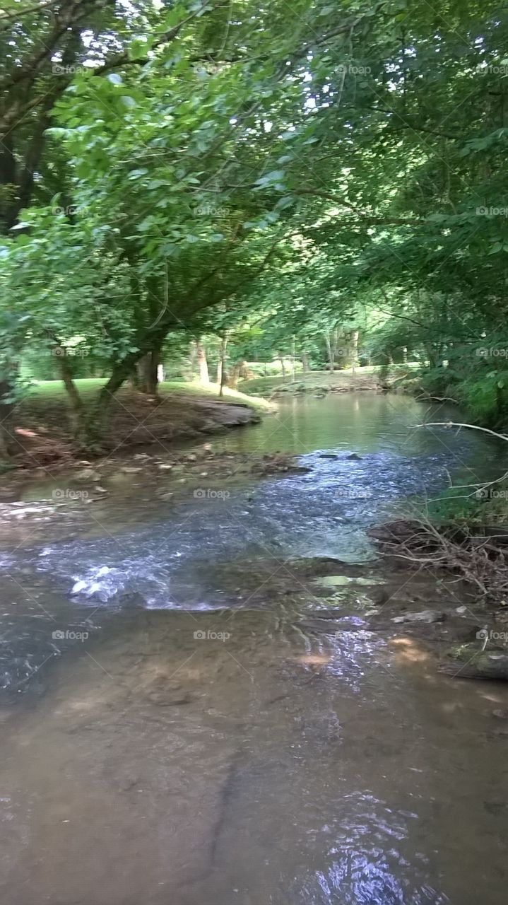 Don't know where it was, but sure was pretty.