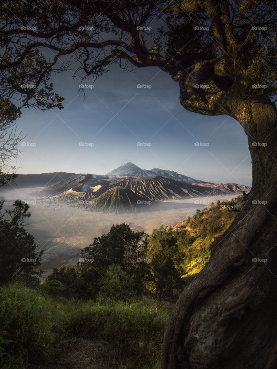 beautiful bromo