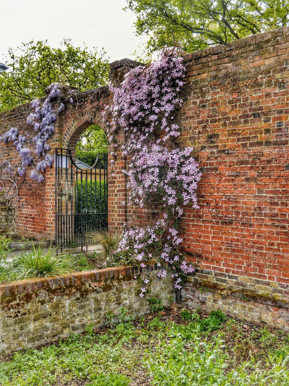 The Garden Gate
