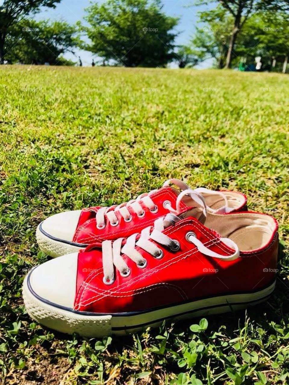 The Red Canvas Rubbershoes