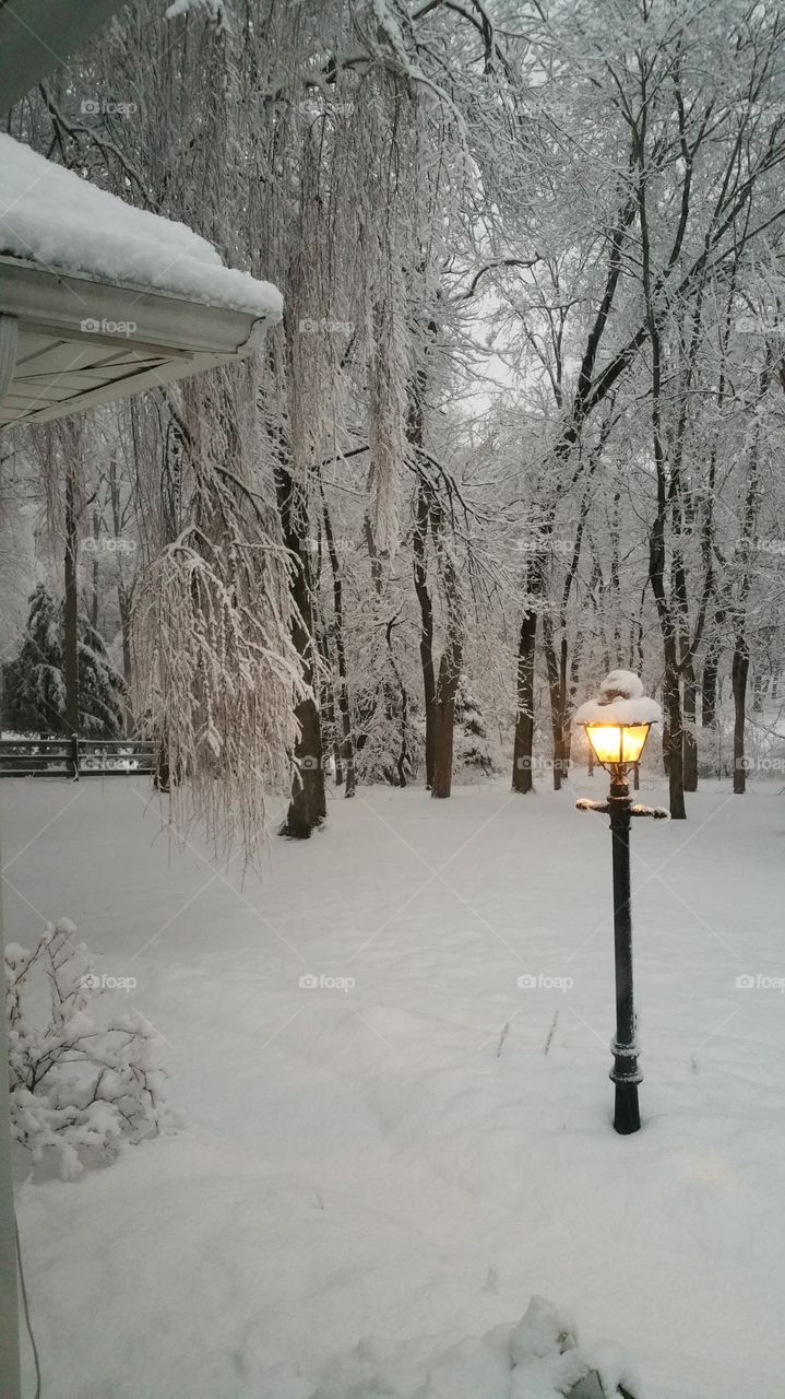March 20, 2015 snow storm
