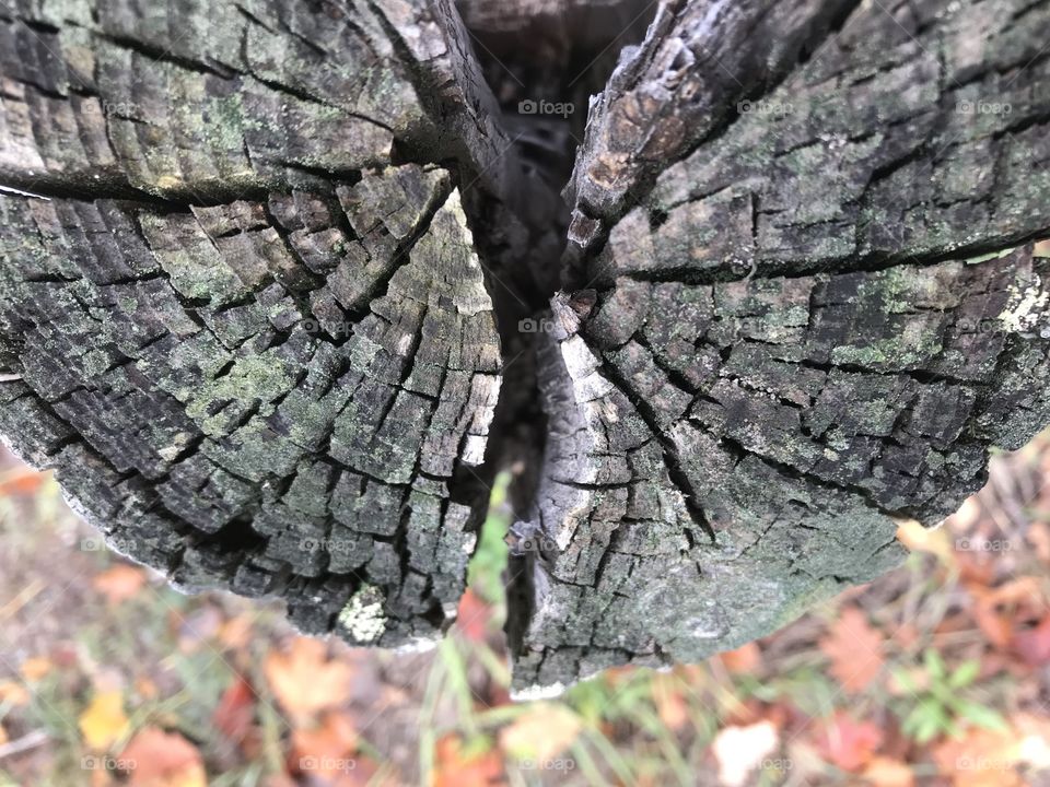 Top view of a wooden post
