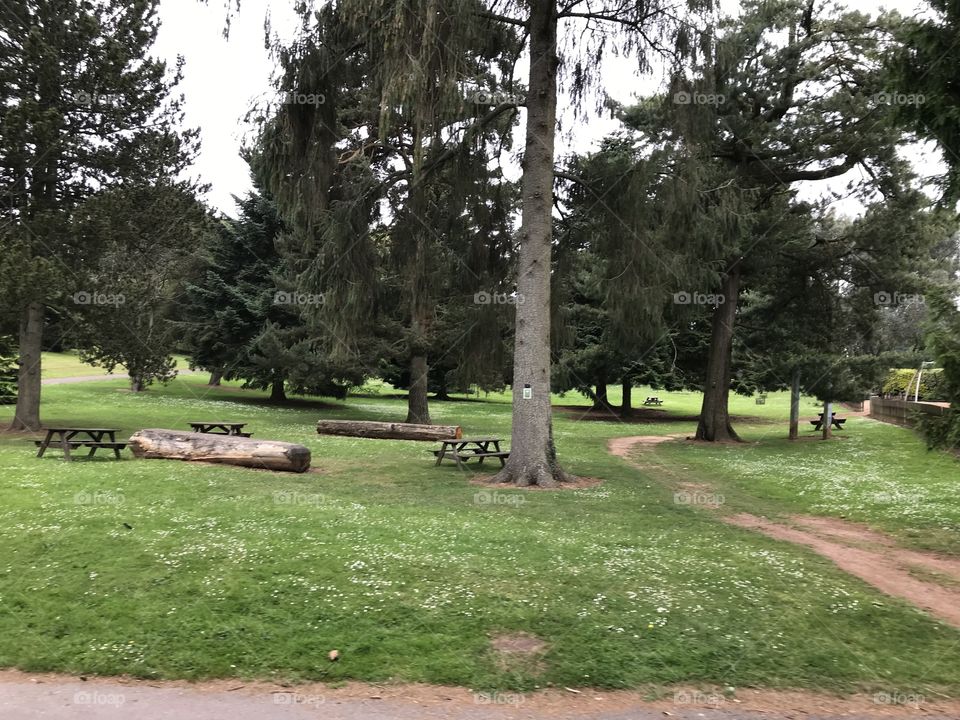 Taken from the train at Bicton Park, this photograph displays some of the large acreage of land, that can be enjoyed here.
