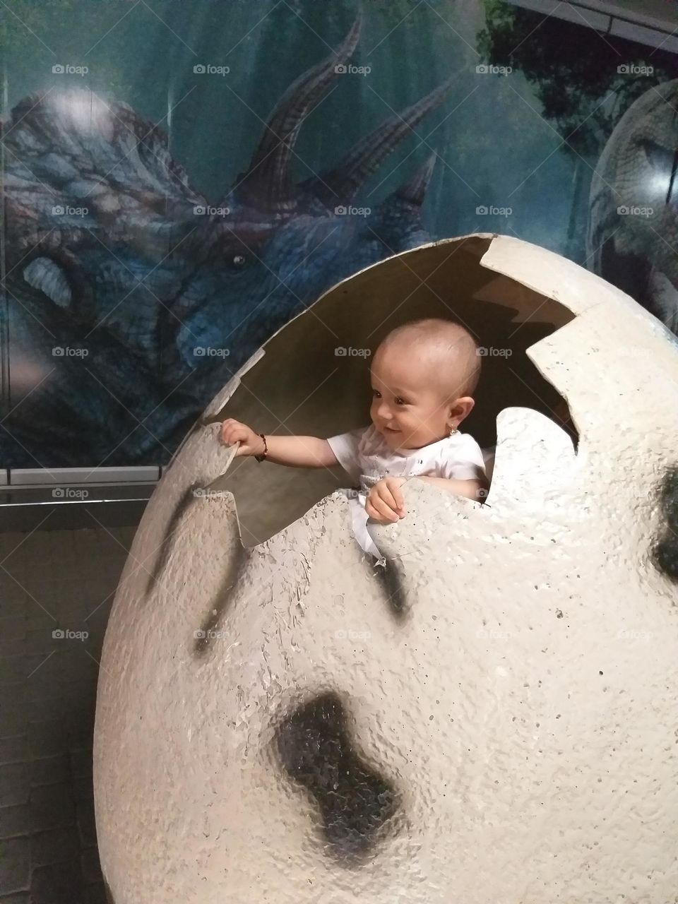 "The chick hatching from an egg:A few life begins!"