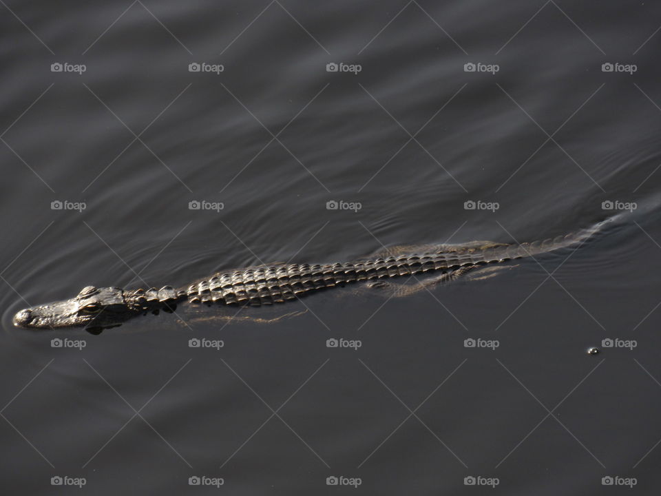 Don’t jump in. My momma says 