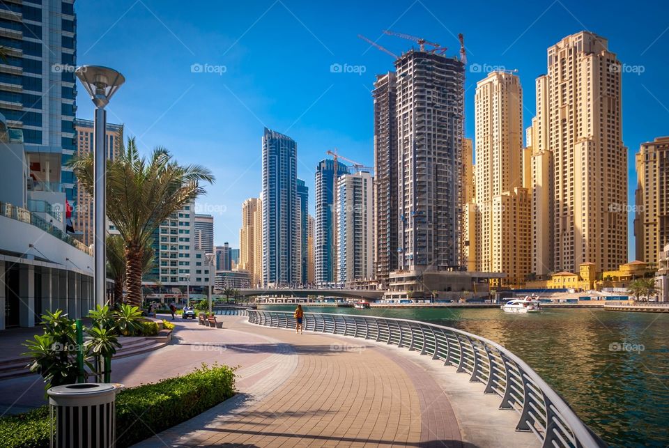 Dubai Marina
