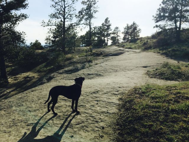 The Road Less Traveled