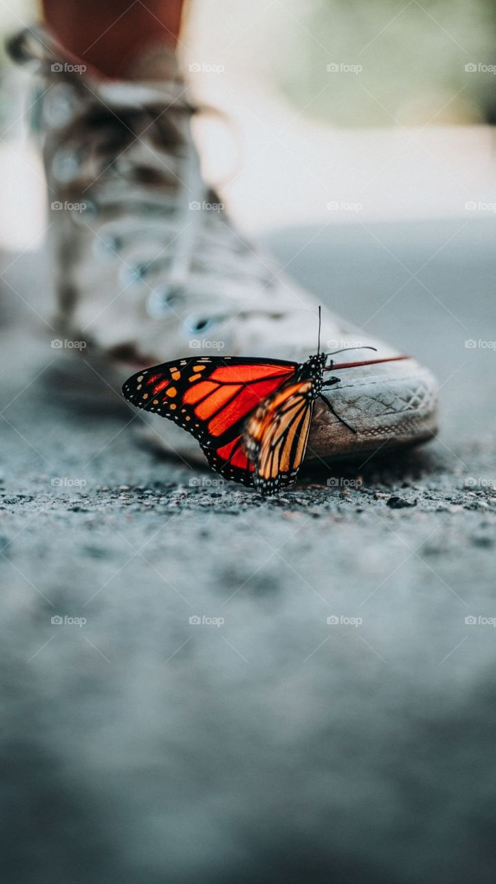 Its Small creation Of God,Dont Hurt And Harm The They Have Also Life🥺🥺