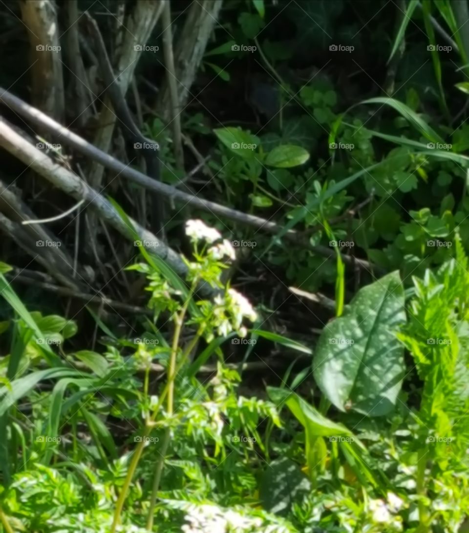 Spring Frühling 🌼🤗
