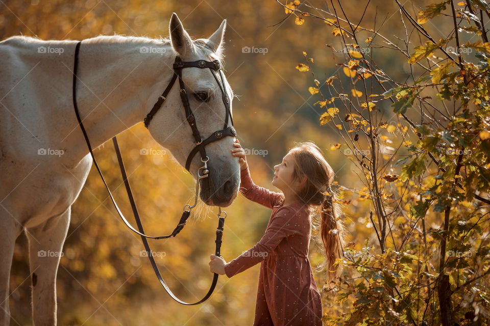 Little girl with grey horse in an autumn park 