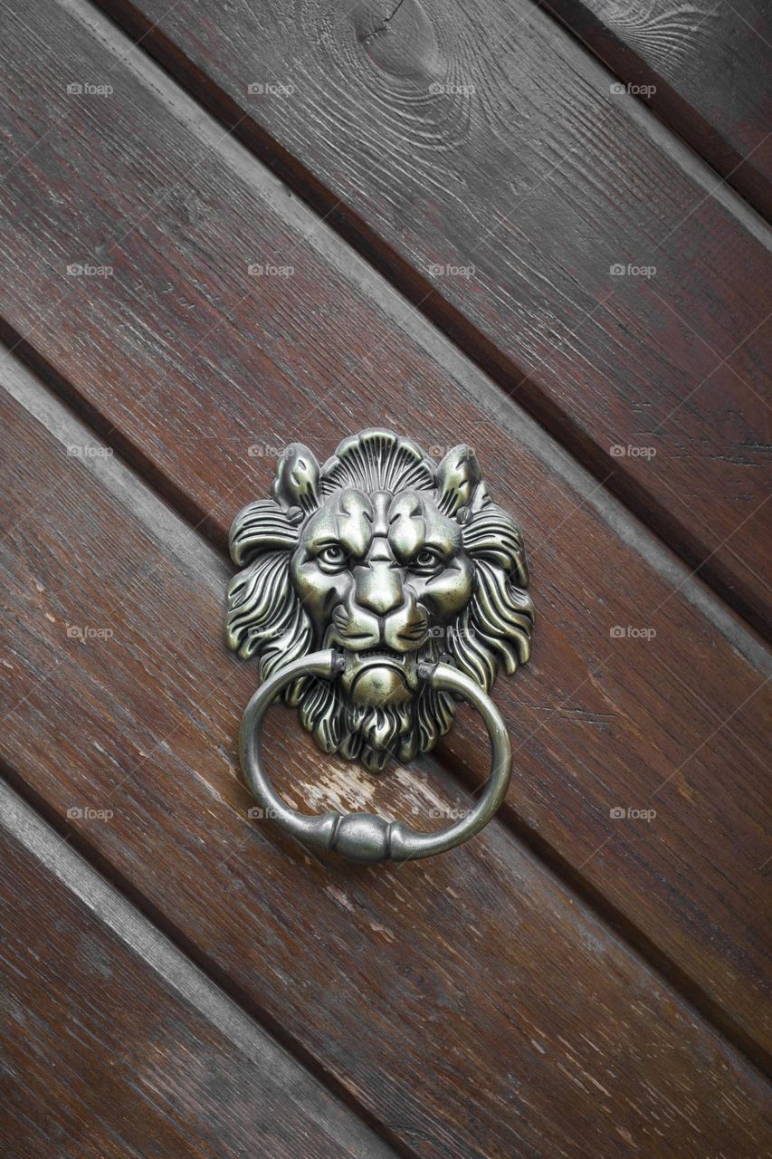 lion knocker on an old wooden door . Vertical shot , close up