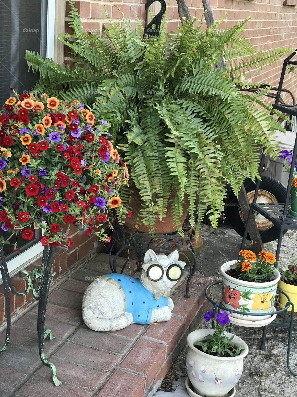 Colorful potted plants on the patio with ceramic cat.
