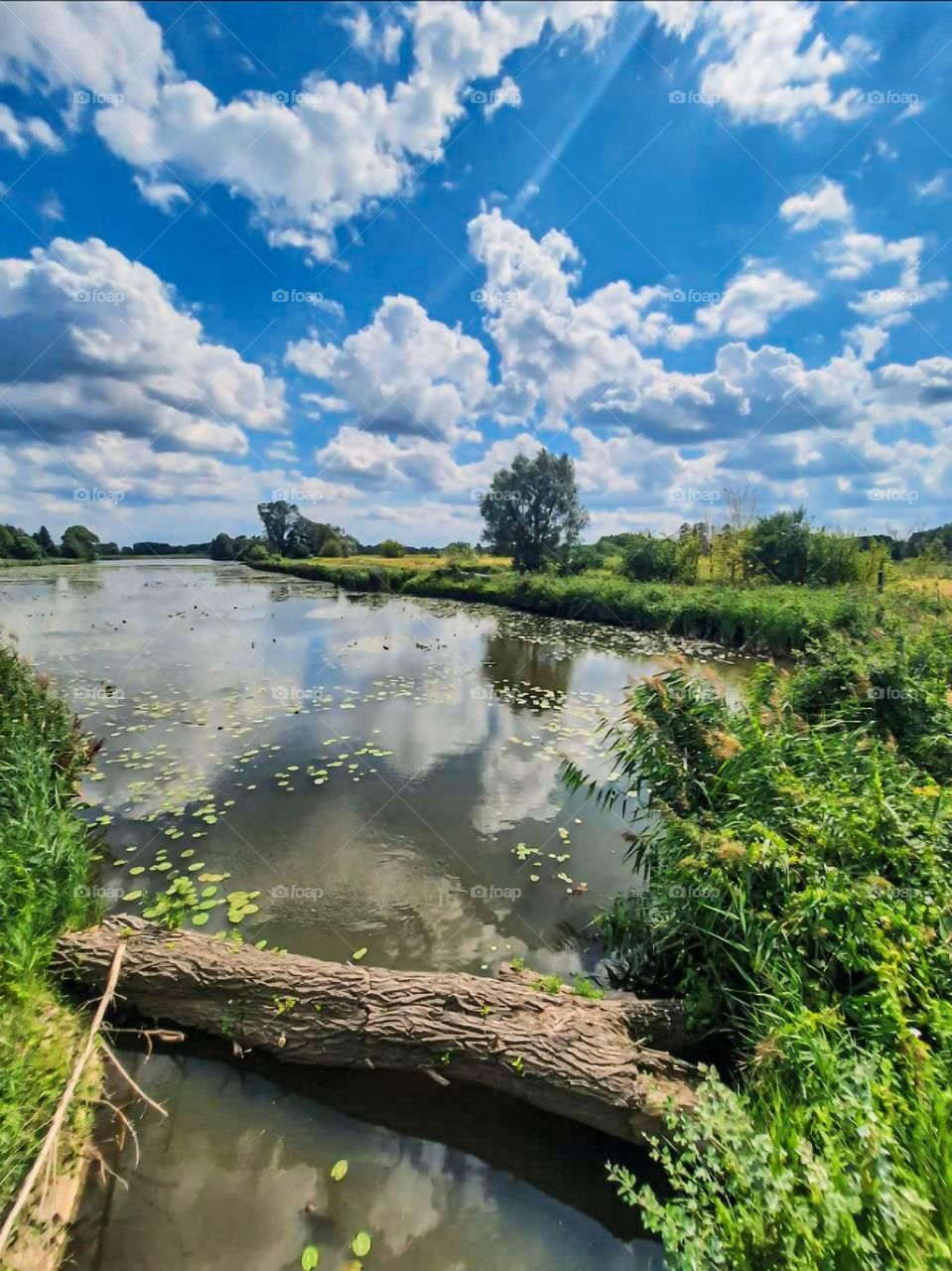 Beautiful River View Under Cloudy blue sky