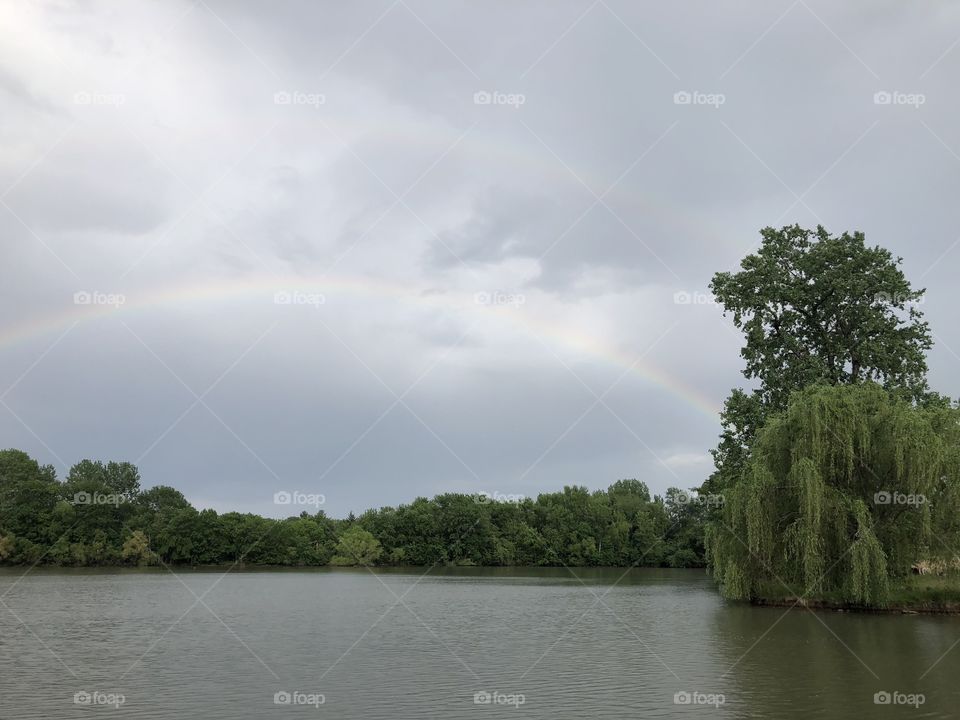 Rainbows Over Holiday Lake, rainbow, rainbows, double, double rainbow, lake, Holiday Lake, lake, willow, tree, trees, water, clouds, storm, sky, weather 