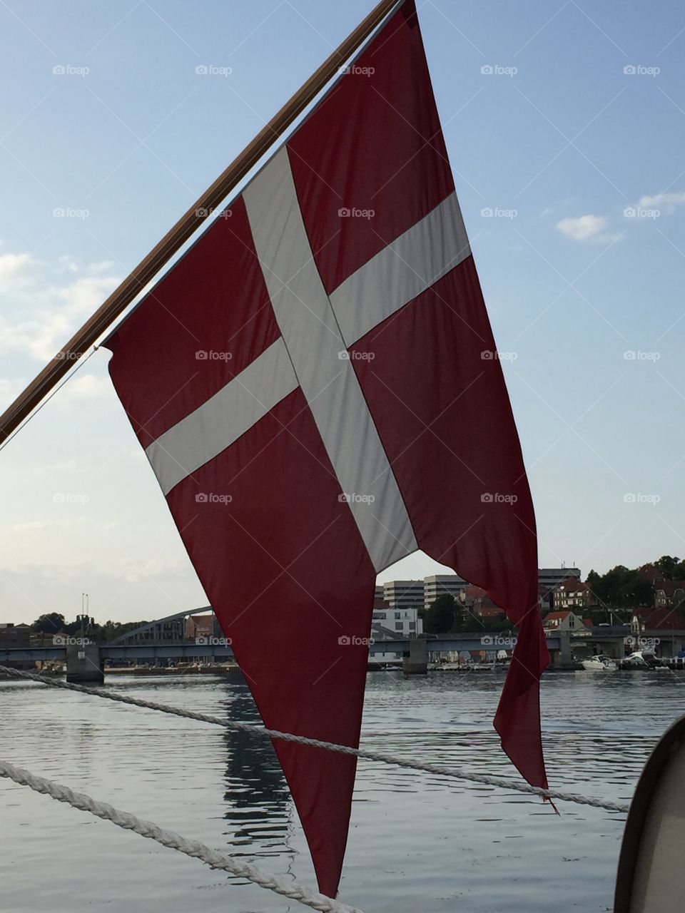 The Danish Flag 