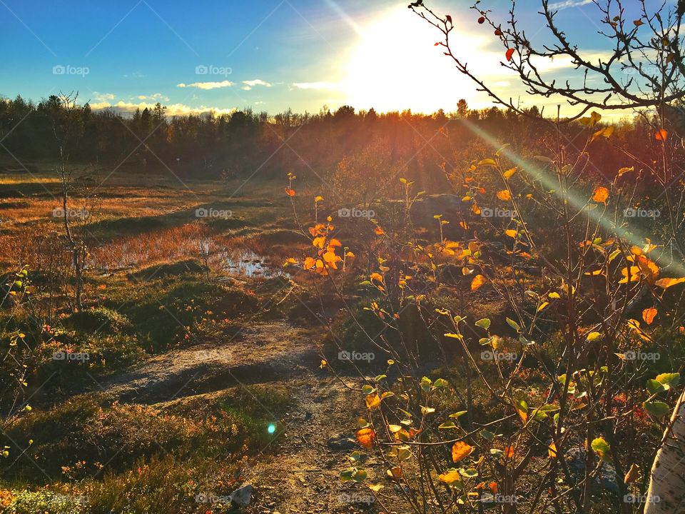 Autumn in the mountains 