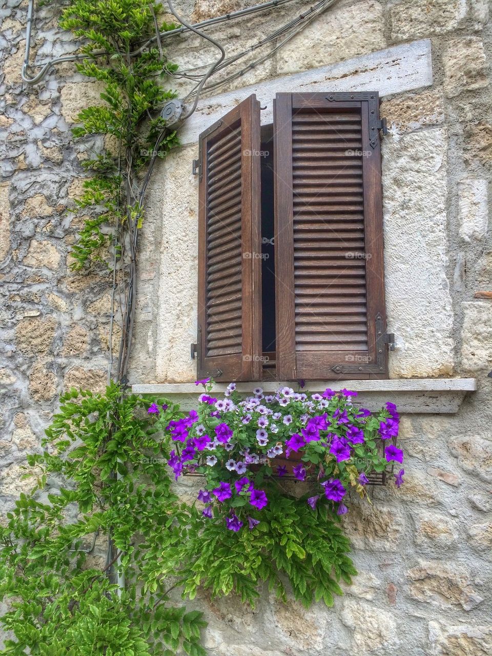 Close-up of window