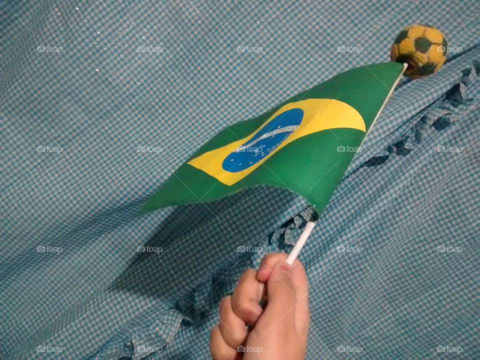 bandeira brasileira 4