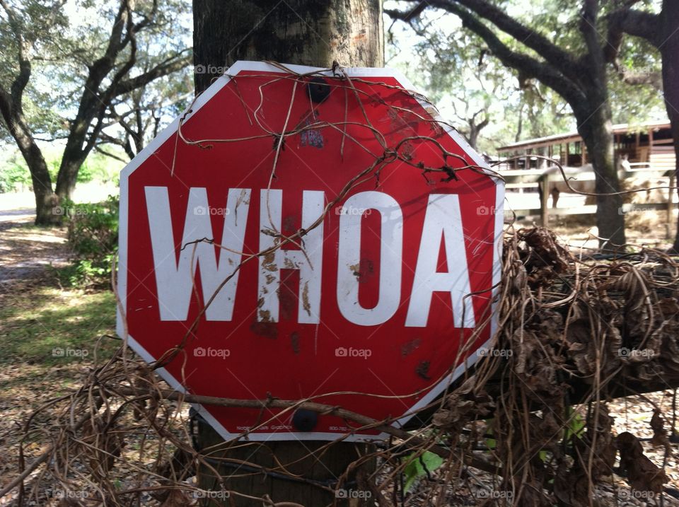 WHOA Sign