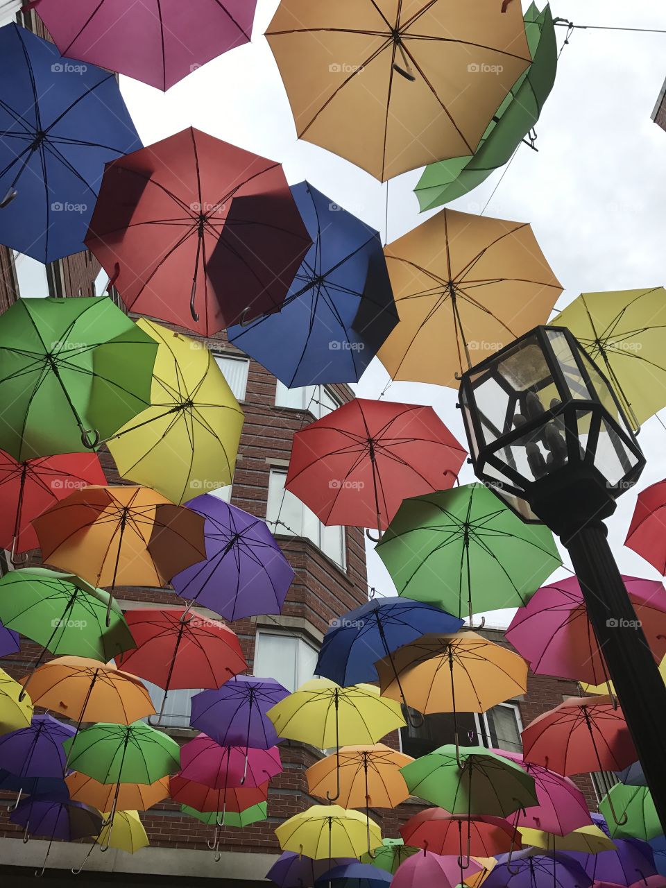 Umbrellas downtown