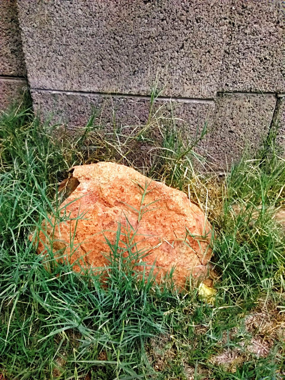 Lawn rock against the wall