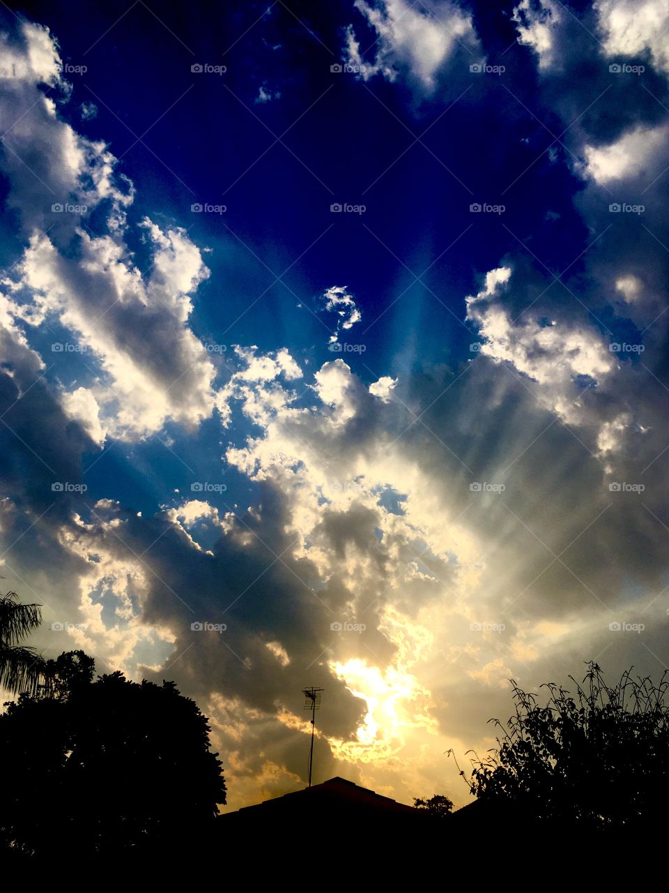 Sky colors or black and white coming up? What matters is nature! / Cores do céu ou o preto e branco chegando? O que importa é a natureza!