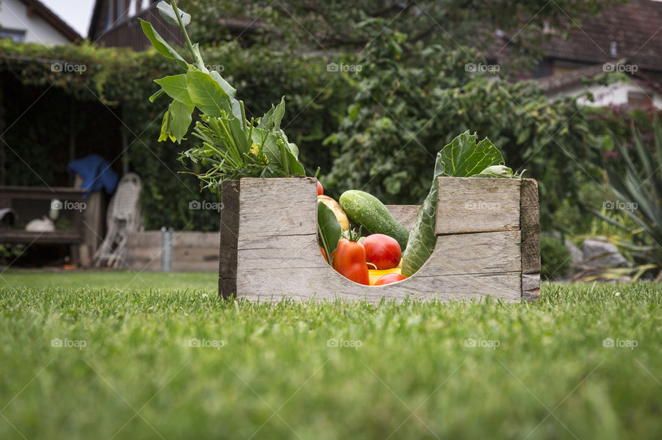 mixed organic vegetables in wooden box