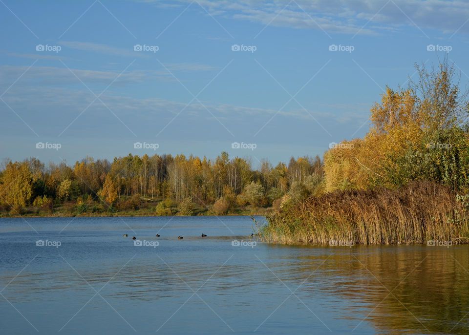 autumn nature landscape