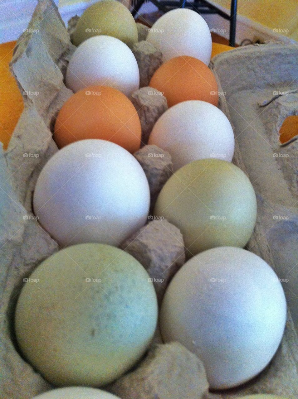 Farm eggs