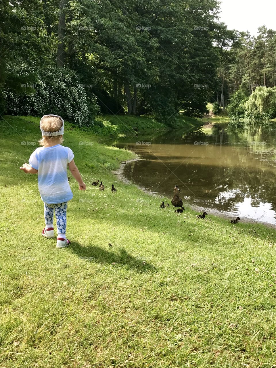 Baby lake and duck 