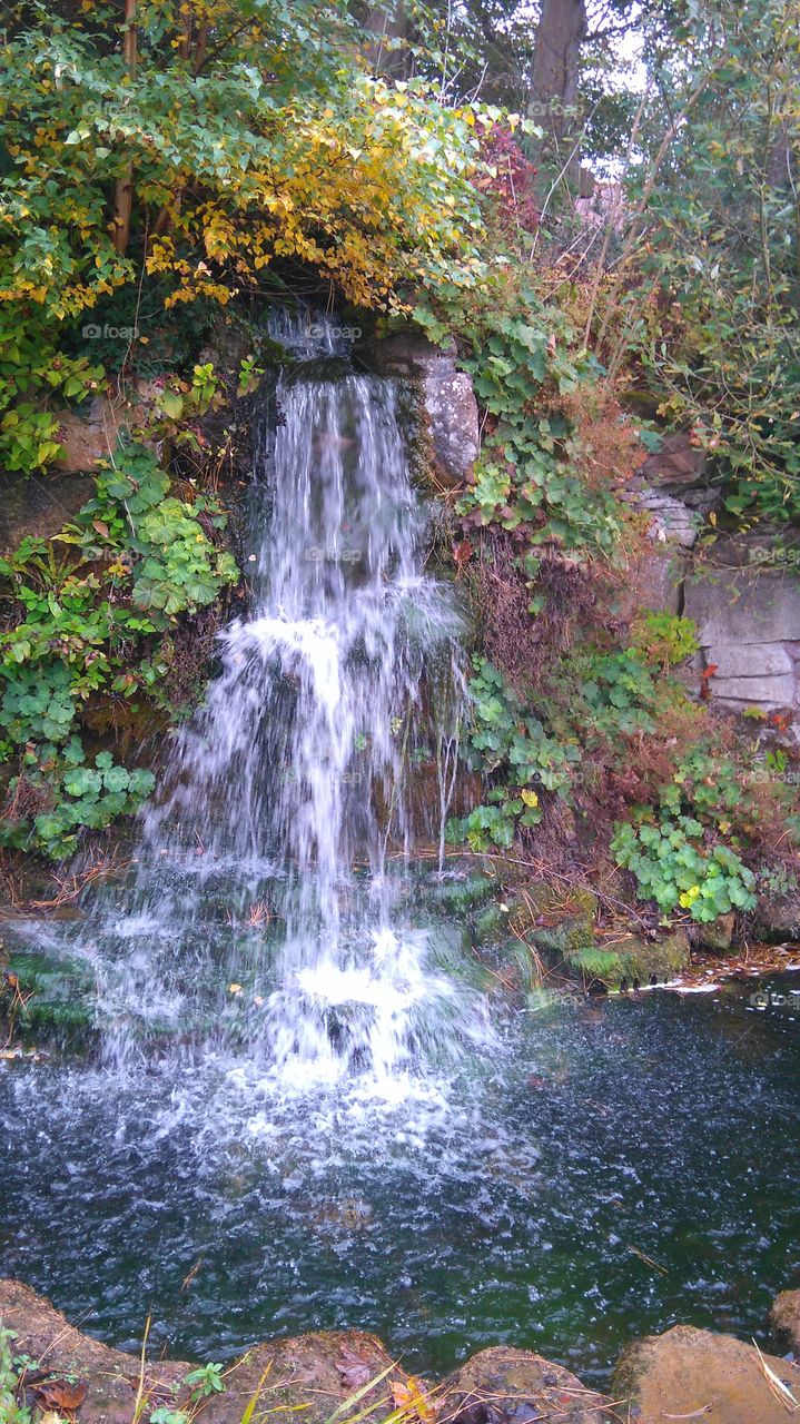 waterfall, water feature at Ness gardens in the wirral