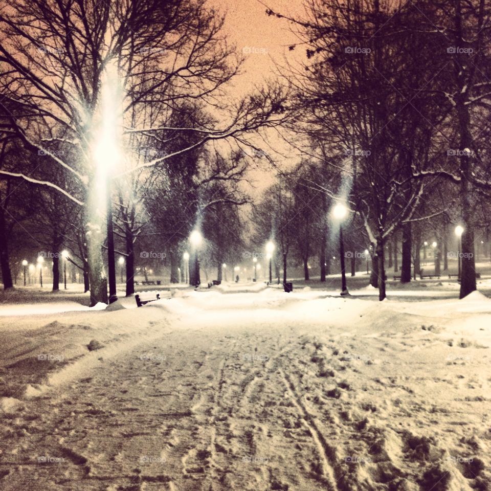 Boston commons winter 