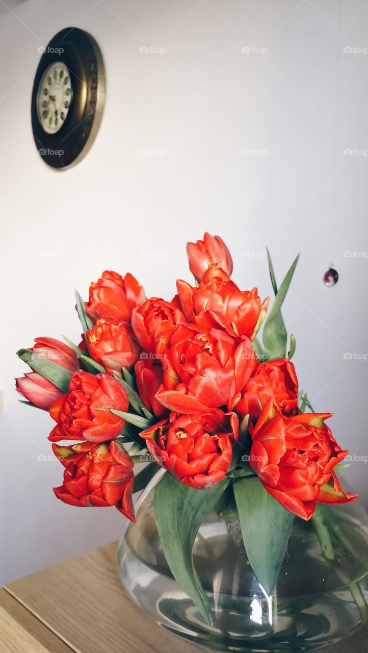 Glass vase with red tulips