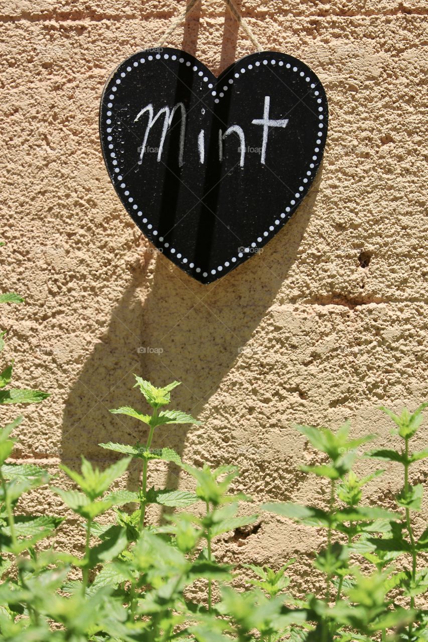 Heart-shaped wood sign hanging on exterior stucco wall with “Mint” written in chalk over a bush of growing mint outdoors 