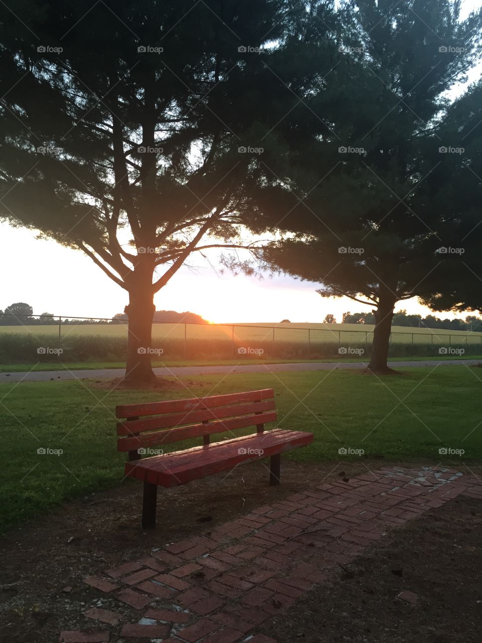 Sunset in the park