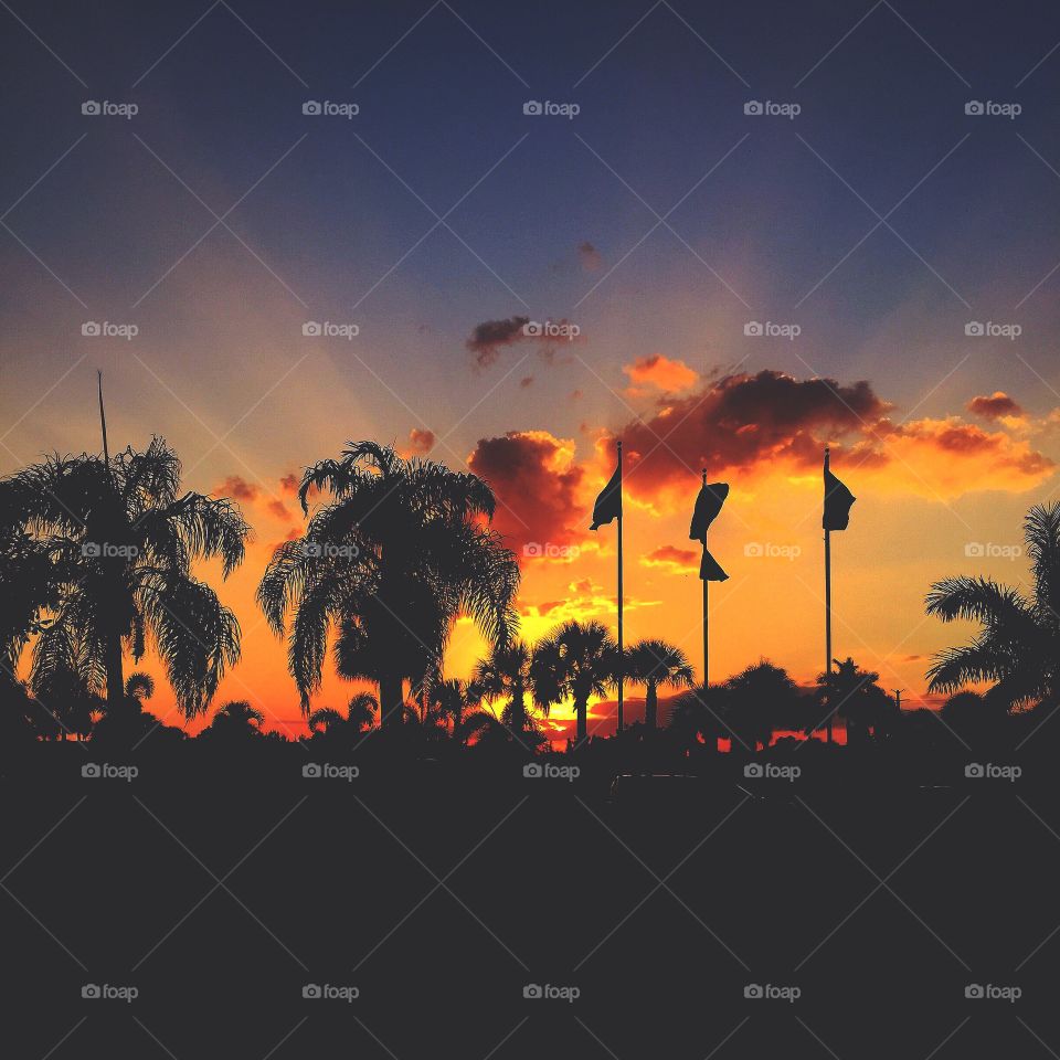 Florida Sunset. Sunset against Palm trees in Fort Myers Beach, Florida