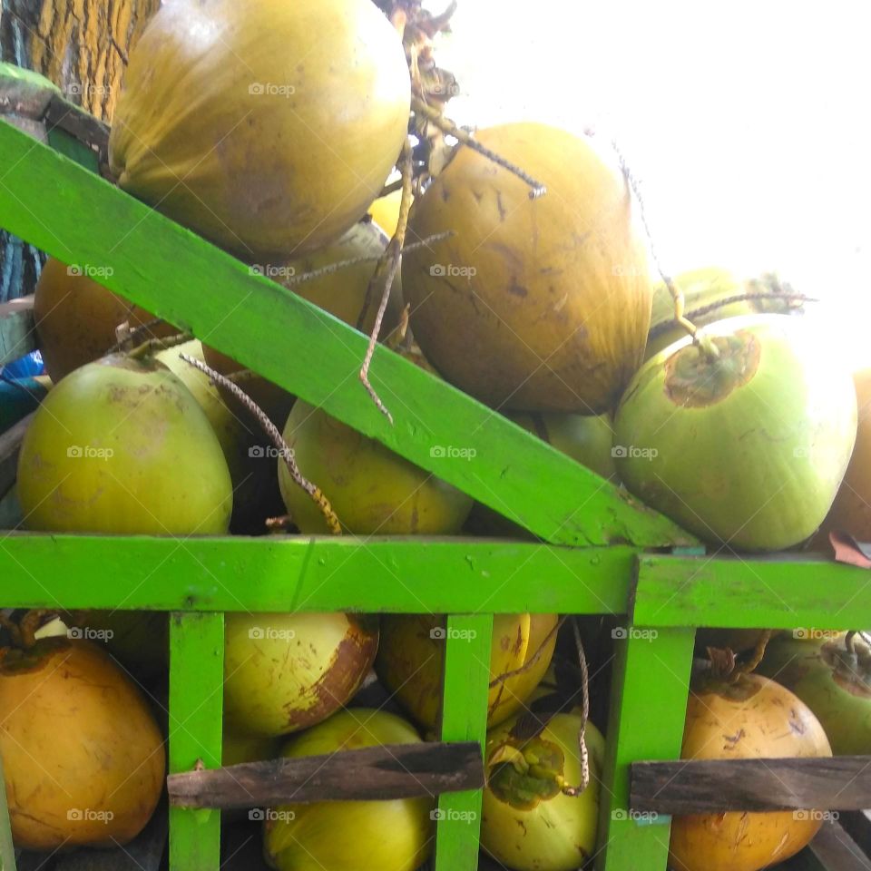 Fresh coconut fruits on the beach