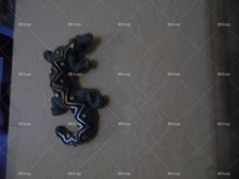 is this lizard real?. That is the question of this photo 📷