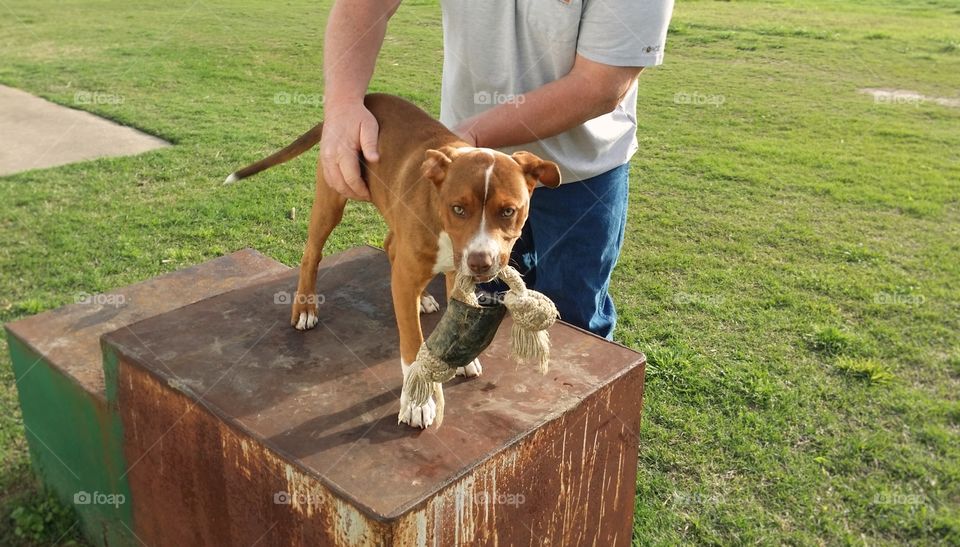 A man petting a sweet puppy with a toy outside